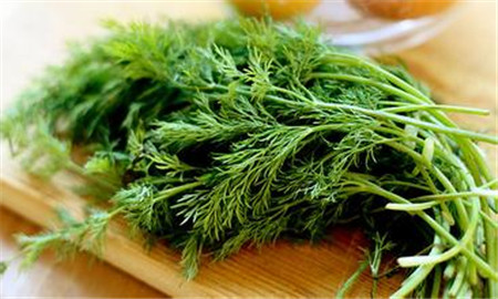 青海健康网 健康饮食  很多人不知道,茴香可是冬天"最厉害的绿叶菜"